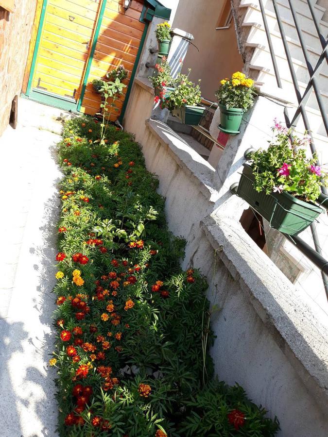 Vila Krismark Žabljak Exterior foto